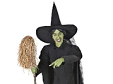 Life Size Wicked Witch of The West