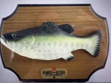 Big Mouth Billy Bass 25th Anniversary Edition