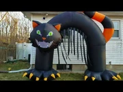 Cat Archway