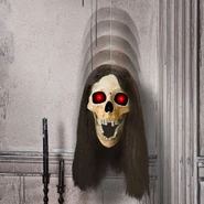 Dropping Skull-Hair (Stock Photo #2)