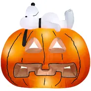 Snoopy on Great Pumpkin