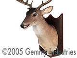 Buck the Animated Trophy