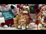 Epic Kitty orange tabby with scarf version in action