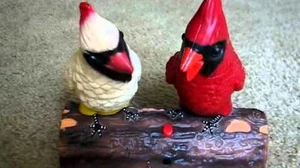 Singing_Cardinal_Couple