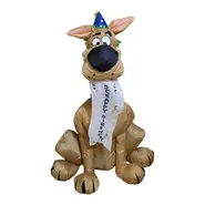 Indoor Birthday Scooby Doo