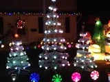 Incredible Holiday Lightshow Trees
