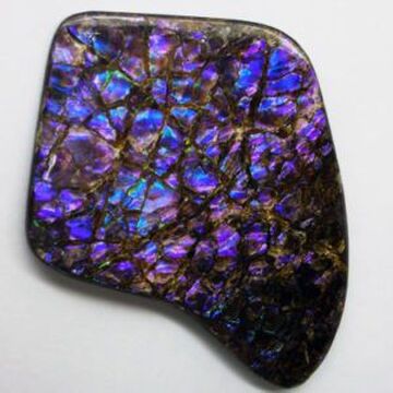 Purple Ammolite Gemstone Wiki Fandom