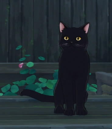 Gato Negro, Genshin Impact Wiki
