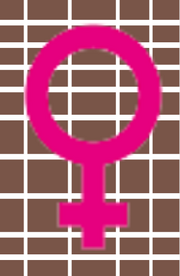 Genderwallgirl-Wallgirl