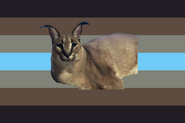 Alternate Floppagender Flag by Twitter user @bubsytwofur[3]