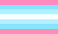 Alternate transmasculine flag by Tumblr user gender-canvasser[46]