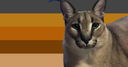 Alternate Floppagender Flag by deactivated Tumblr user[1]
