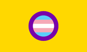 Trans-Intersex-Flag-Higher-Quality