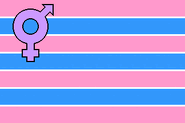 Transsexual female pride flag by Johnathan Andrew[4]