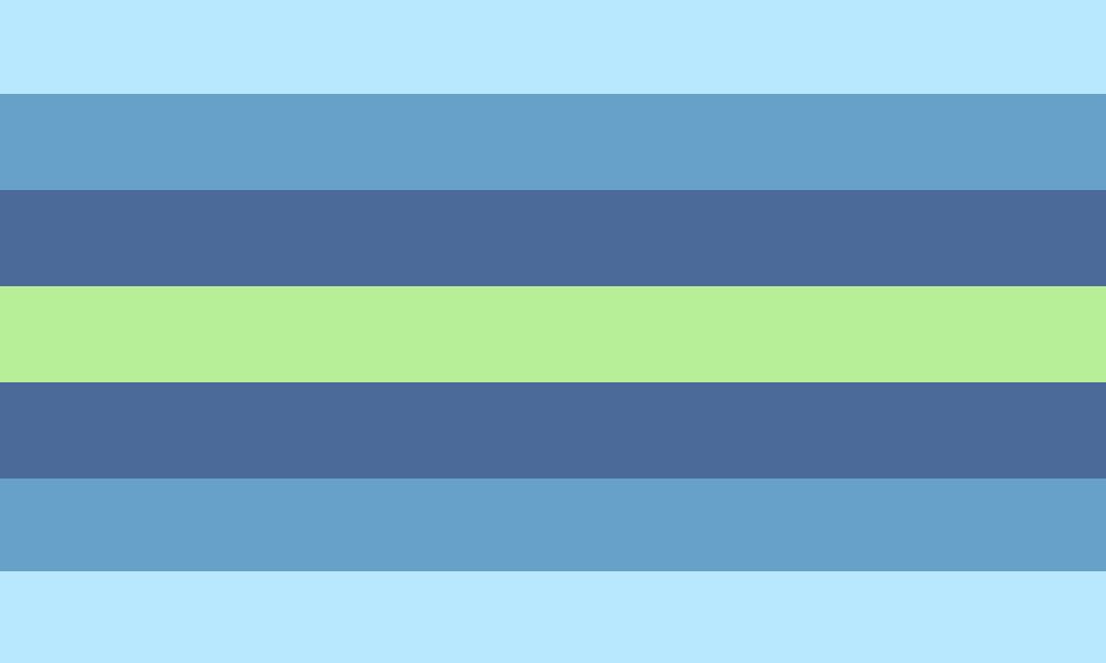 Boyflux Flag
