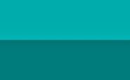 Genderstatic flag