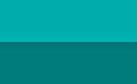 Genderstil flag 1
