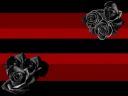 Darkrosegender