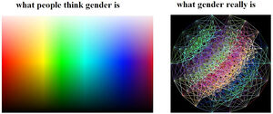 Gender2.jpg