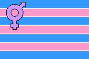 Transsexual male pride flag by Johnathan Andrew[5]