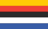 Alternate Pokeic Flag by Tumblr user neopronouns[1]