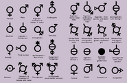 Genders11