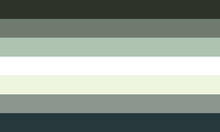 Rahugender by pride flags dcfu8i2-fullview.jpg