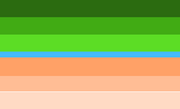 Lizardboy flag
