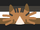 Tuxedotabbycatgender