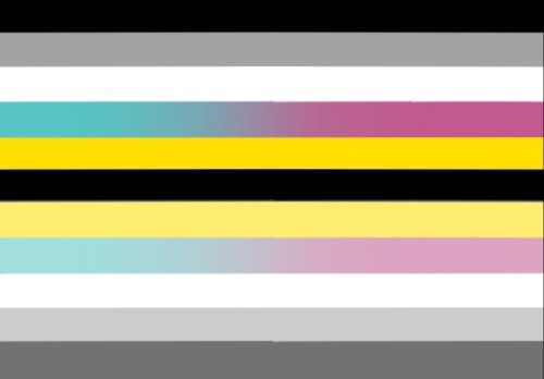 Pride Flags, Gender Wiki