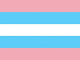 Transsexual