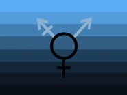 Alternate transmasculine flag by Fandom user JxroPlayz7[38]