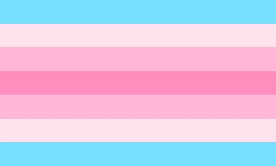 transfem flag transfem flag