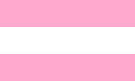 (5) Alternative Demigirl Flag