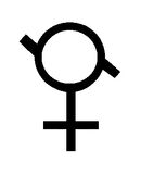 Girlflux Symbol