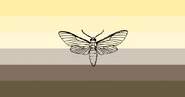 Mothgender flag by Clear.Skies on the LGBTA wiki[1]