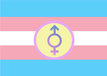 Trans-Intersexual Flag.png