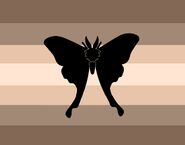 Alternate Mothgender Flag by Fandom user lynxxrose