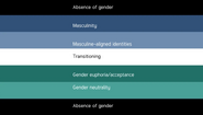 Meanings of the alternate Transmasculine flag by Fandom user ~jupitersf0rest~[52]