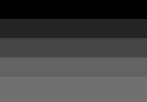 ShadowGender Flag.png