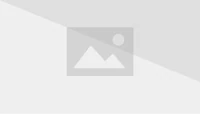 Palettegender 67