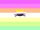 Nonbinarycatthing