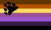 Non-binary bear