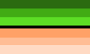 Lizardvoid flag