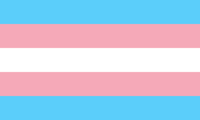 Camiseta Bandeira nao cis do Transgender