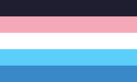 Detransitioner pride flag