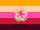 Hibiscus-Teagender