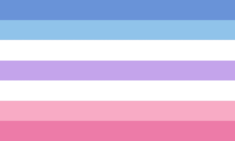 Transgender Pride Flag – BRC