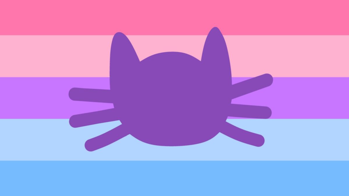 catgender-gender-wiki-fandom