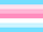 Transfeminine Man